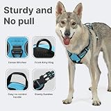 Belababy Dog Harness Adjustable No Pull Front Back Clip Reflective Blue XL view 3