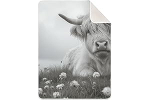 Kigai Cool Highland Cow Baby Blanket for Newborn Boys Girls, Ultra Soft Warm Cozy Bed Throws Blanket Double Layer Newborn Rec