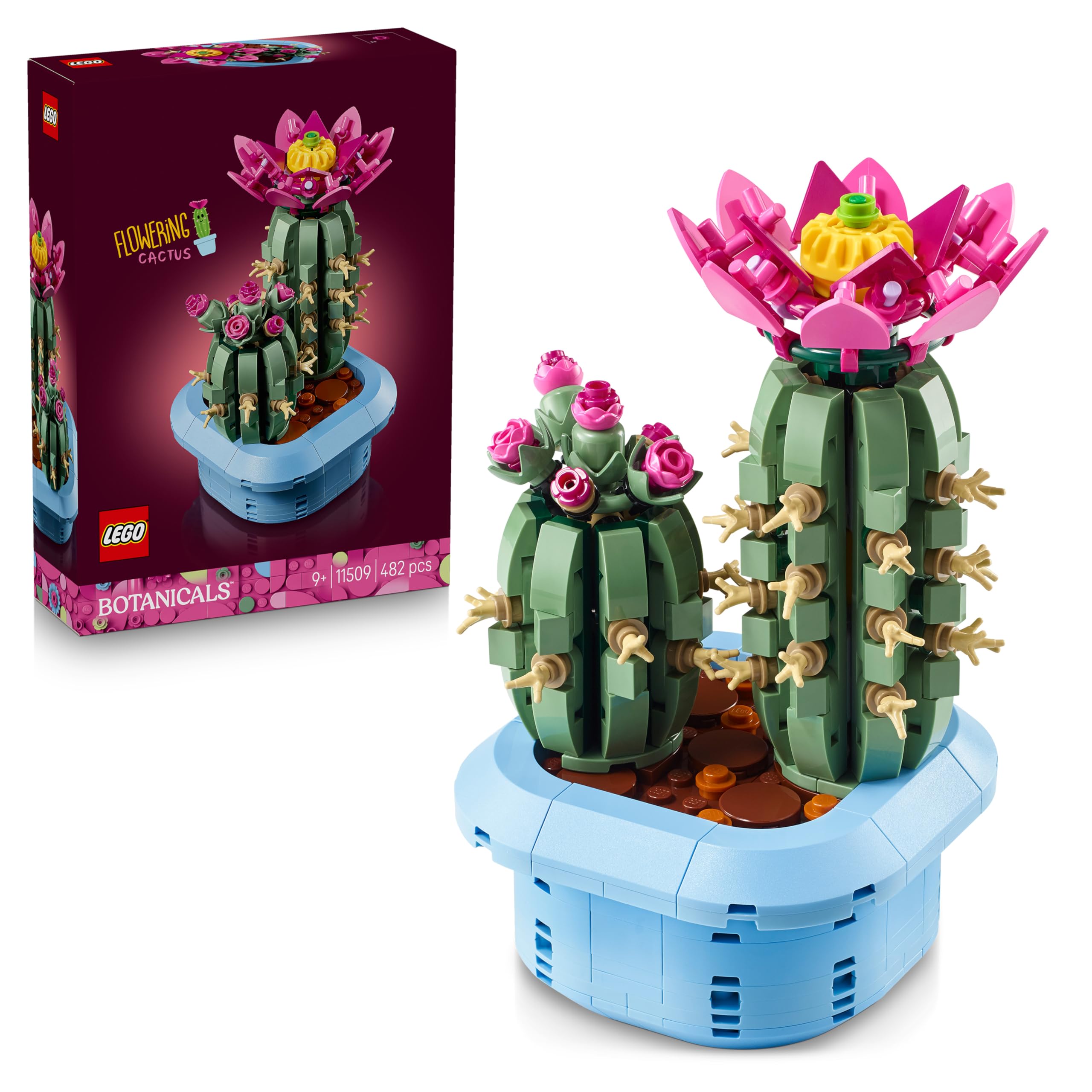 LEGO Botanicals Blühender Kaktus - Set mit Kunstpflanze mit 2 Kakteen & künstlichen Blüten - DIY Deko - Geschenkidee zum Geburtstag für Mädchen ab 9 Jahren & Erwachsene Pflanzenliebhaber - 11509