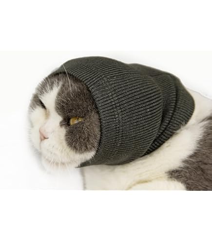 Amazon.com : Kotomoda cat wear Turtleneck Boss (S) : Pet Supplies