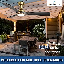 BvenuBigLite Ceiling Fan with Light Modern: 52 Inch