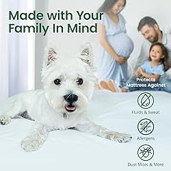 SafeRest Sleepure Waterproof Mattress Protector