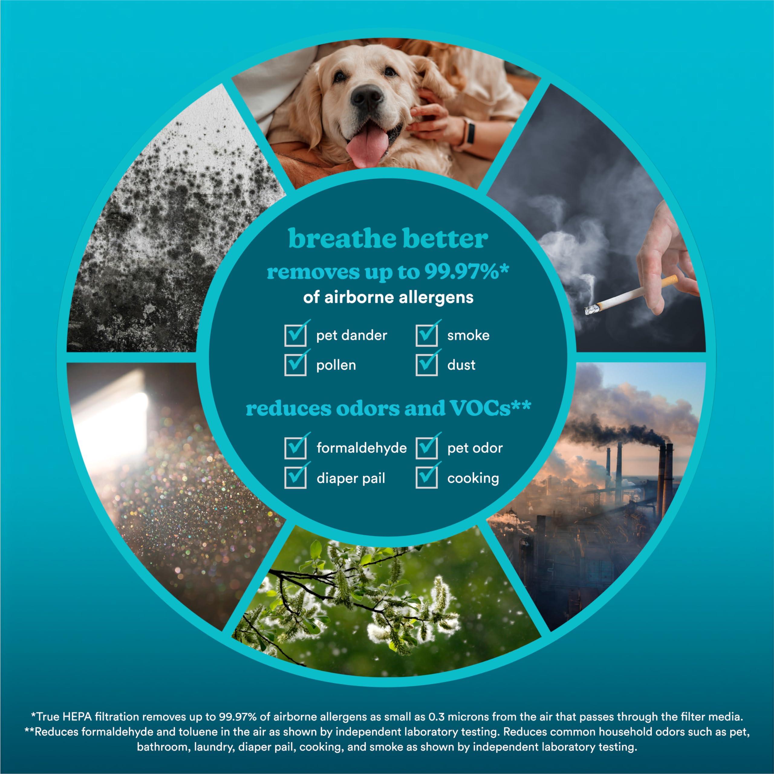 Homedics 3-1 Air Purifier For Home, Office and Bedrooms. 975 Sq Ft of Coverage/Hour. True HEPA Filtration, Activated Carbon Filter, Prefilter, Reduces Bacteria, Virus, Mold, Odors, Medium Rooms