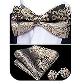 Barry.Wang Paisley Striped Bow Tie for Men Silk Pre-Tied Bowtie Pocket Square Cufflinks Set Formal Wedding Party Prom