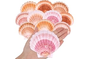 WEDOSOY 10PCS Large Natural Scallop Shells, 4''-4.5'' Large Sea Shells Pink & Yellow for Crafts, Baking, Beach Wedding, DIY Painting, Ocean Themed Party and Coastal Home Decor