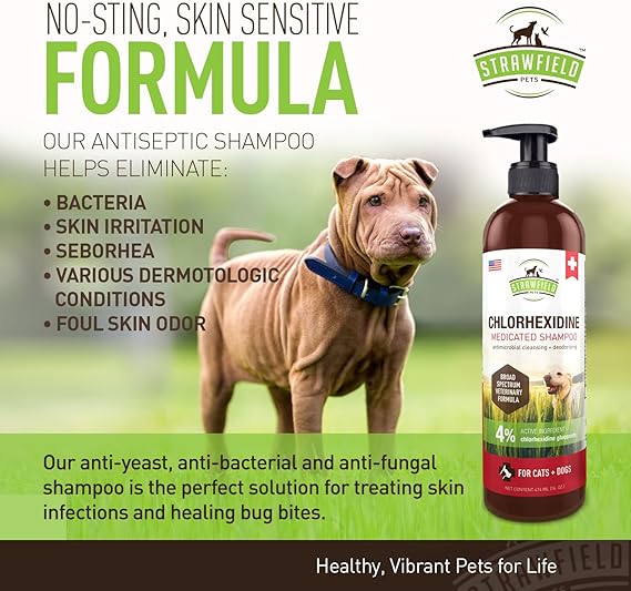 chlorhexidine gluconate dog shampoo