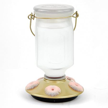 Amazon Com Perky Pet 9103 2 Sun Kissed Top Fill Glass