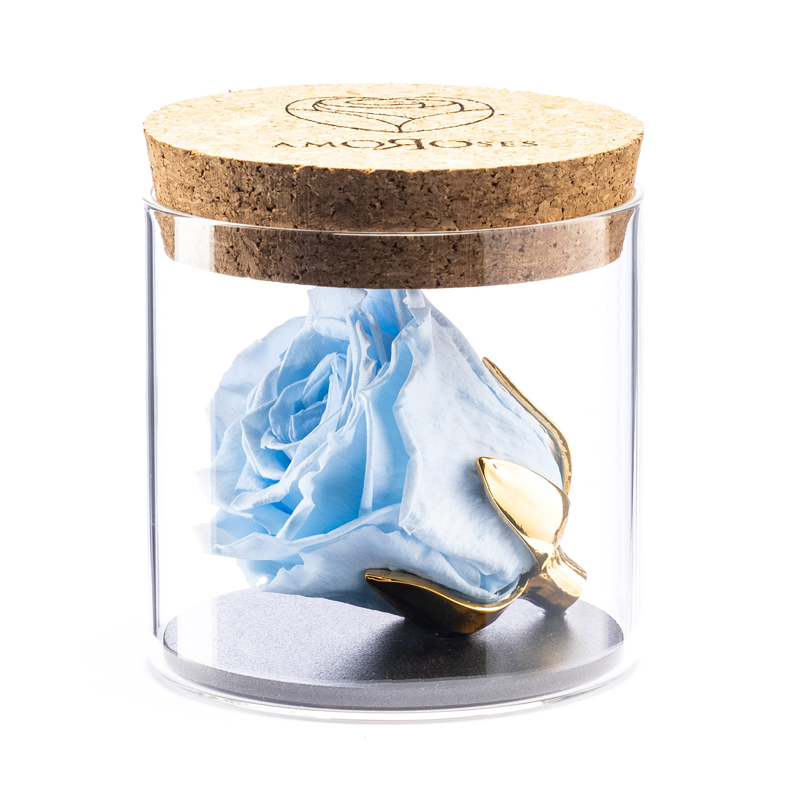 Amoroses Bijou - Eternal Stabilised Rose with 24K Gold Plated Calyx in Glass Jar | Gift Idea Christening Baby Boy (Sky Blue Rose)