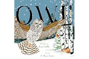 Owl (pb)