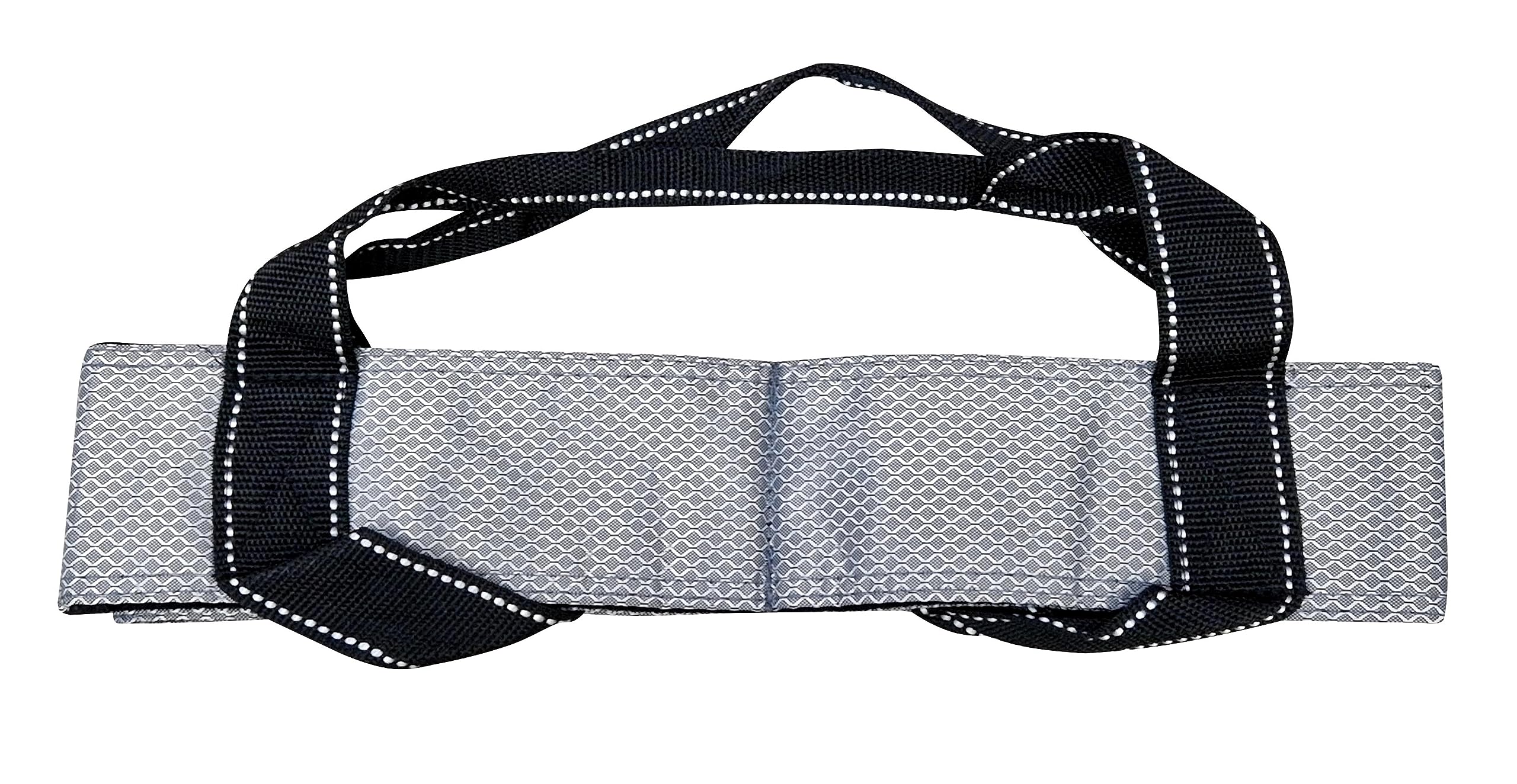 Acclaim Austin Ladies Classic Four Bowls Ripstop Nylon Carrier Designed to Fit Up to Size 2 Bowls for Indoor & Outdoor Bowling (Silver)