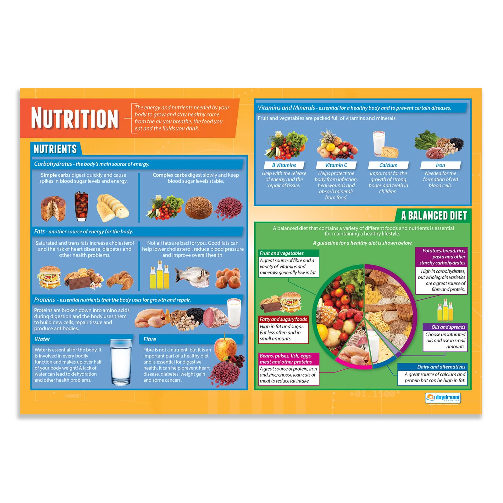 Daydream Education Nutrition | PE Posters | Gloss Paper measuring 850mm x 594mm (A1) | Physical Education Charts for the Classroom | Education Charts