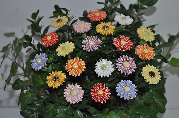 20 Keramikblumen: Gänseblümchen