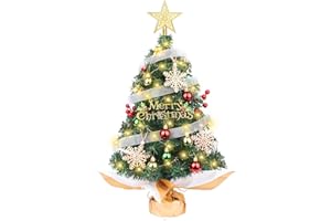 HOMDAILY Small Christmas Tree with Lights, 2ft/24 inch Artificial Mini Table Top Christmas Tree Decorations with Star Tree Topper, Hanging Balls and Ornaments, Gift Pack, 25 Pcs Little DIY Xmas Tree
