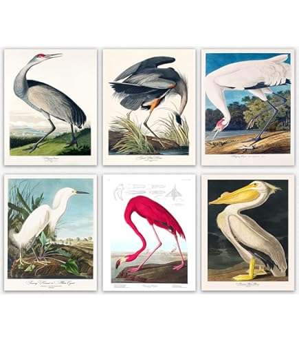 【リトグラフ】オーデュボン「アメリカの鳥類」NO.39 PL.195 単葉 初版 Amazon.com: Trademark Fine Art American Flamingo 1834