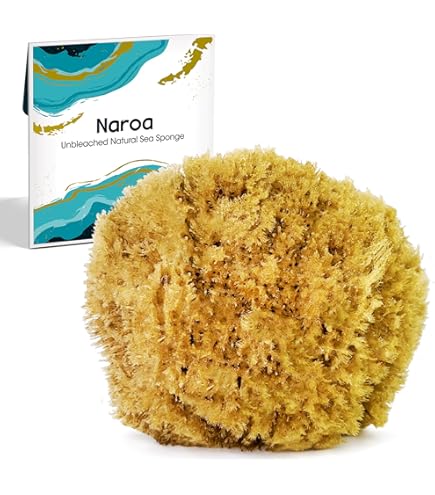 Éponge De Mer Naturelle - 8 CM