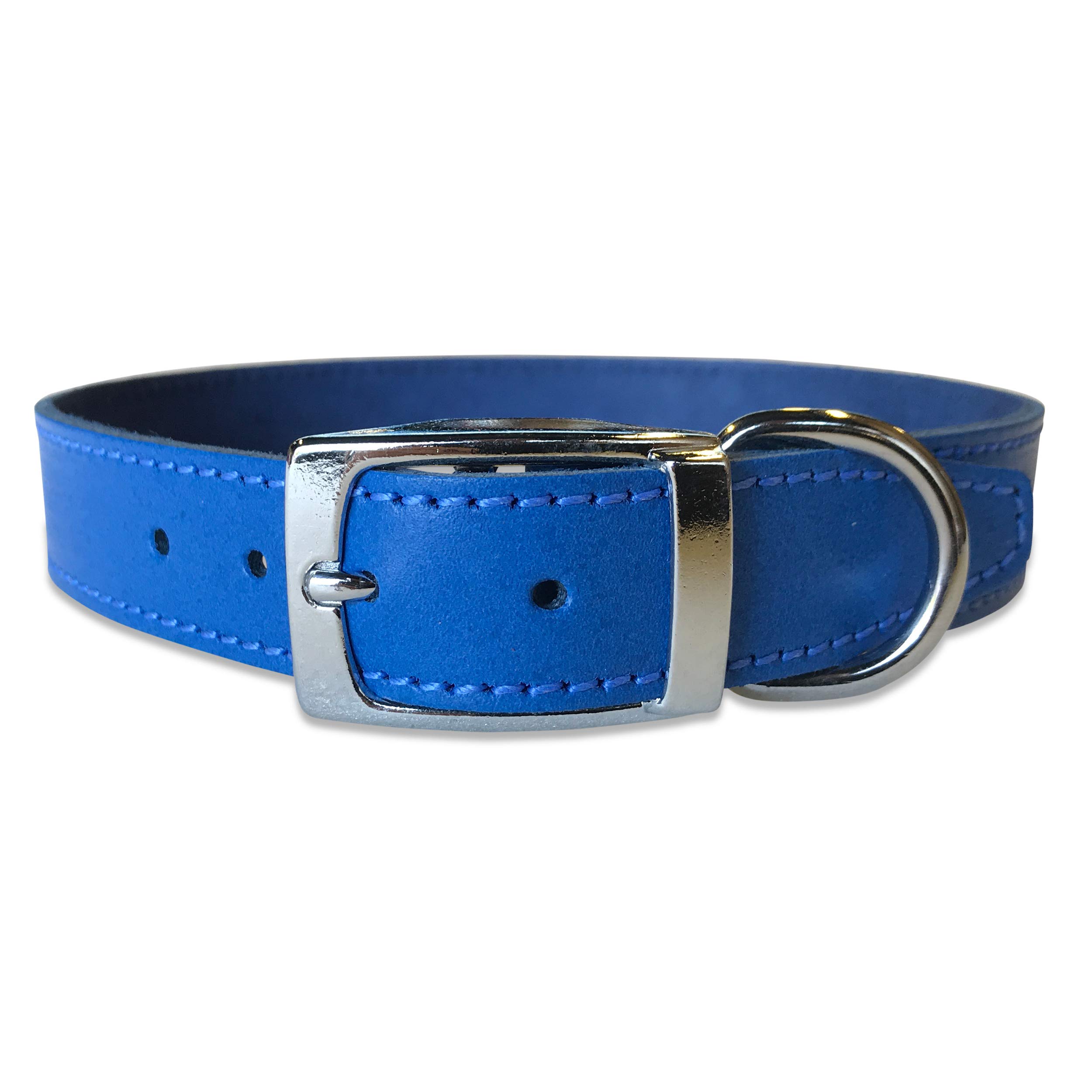 BBD Pet Products Plain Leather Collar, 1 x 21 to 24-Inch, One Size, Royal