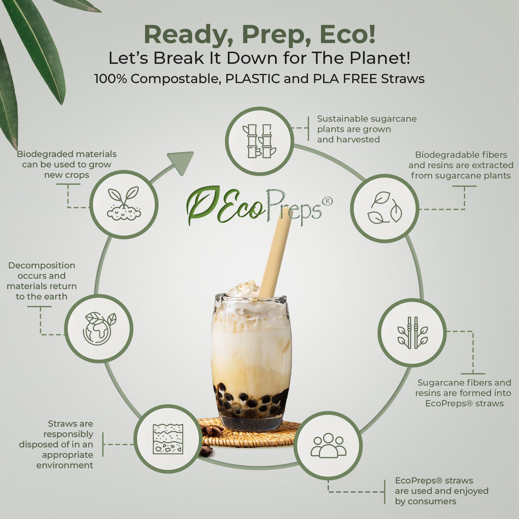 EcoPreps Biodegradable Jumbo Smoothie Straws, Sugarcane Boba Straws - 50 PCS, Extra Wide, 100% Compostable, Plastic-Free, Eco-Friendly Large Wide-Mouthed Straw - 8.3'' Long Sugarcane Disposable Straw - Image 6