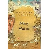 Many Waters (A Wrinkle in Time Quintet, 3)