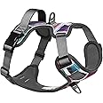Embark Adventure Dog Harness, Reflective Trim No Pull Dog Harnesses for Small Sized Dogs - Military Grade Nylon, Front Clip with Gel Lined Handle. Soft & Padded Puppy