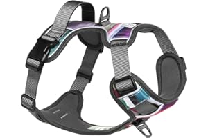 EMBARK PETS Embark Urban Dog Harness, No-Pull Reflective Trim Dog Harness for Small, Medium & Large Dogs - Heavy Duty Oxford, 2 Leash Clips & Gel Lined Handle. Soft & Padded Puppy Dog Vest for Any Breed