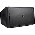 JBL Professional Control SB2210 Dual Compact Subwoofer, 10-Inch, Black
