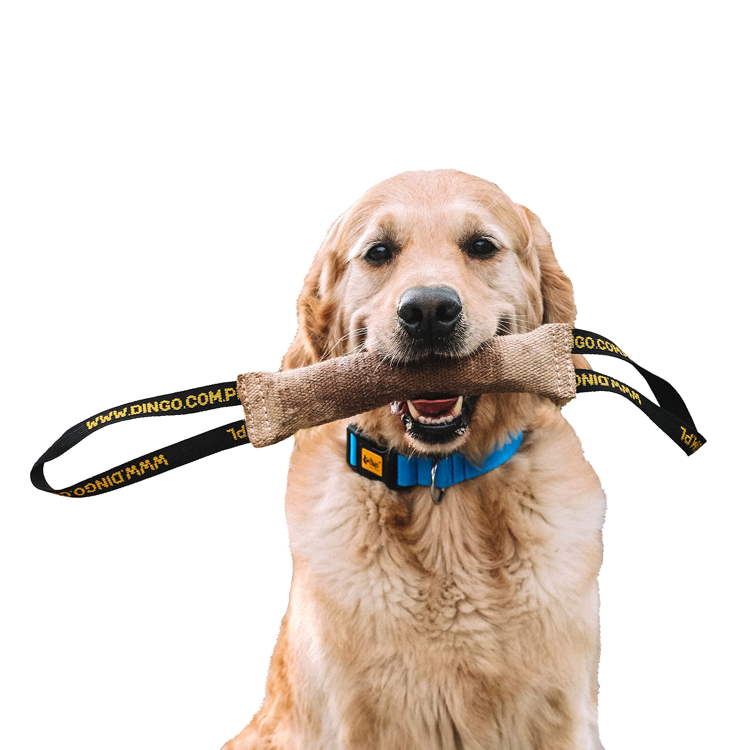 DINGO Jute Tug Toy Strong 2 Handles Pull Rope for Dog Training, Retrieve, Bite Work, Prey Drive, Tug of War, Fun, Handmade Dummy 28 cm Natural Colour (10598)