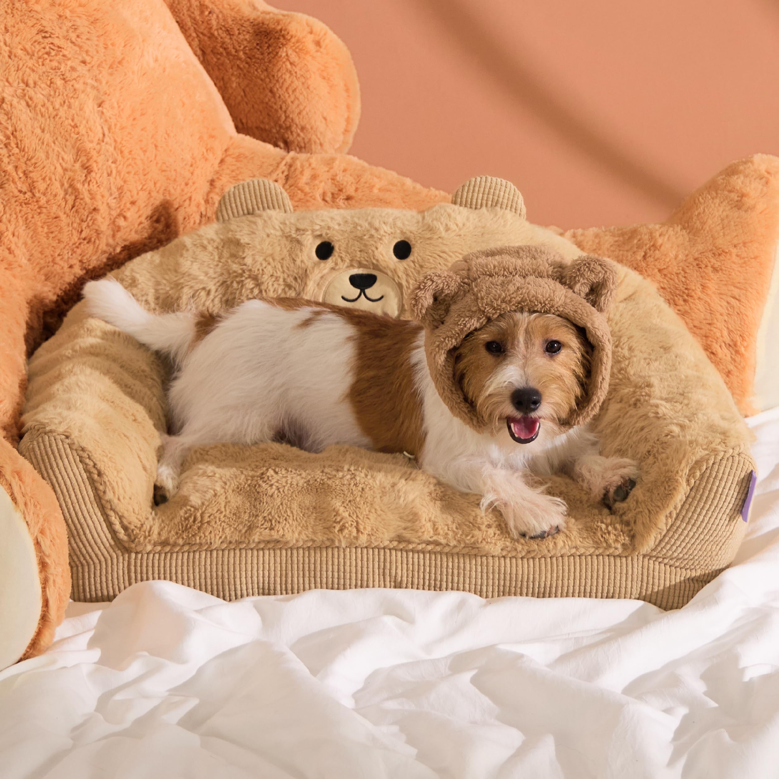 Photo 1 of LE SURE Cute Cat Couch for Pets - Fluffy Original Bear Design for Small Dog Bed, Supportive Dog Couch with Removable Washable Cover, Puppy Bed for Small and Medium Dogs, 28inch, Almond