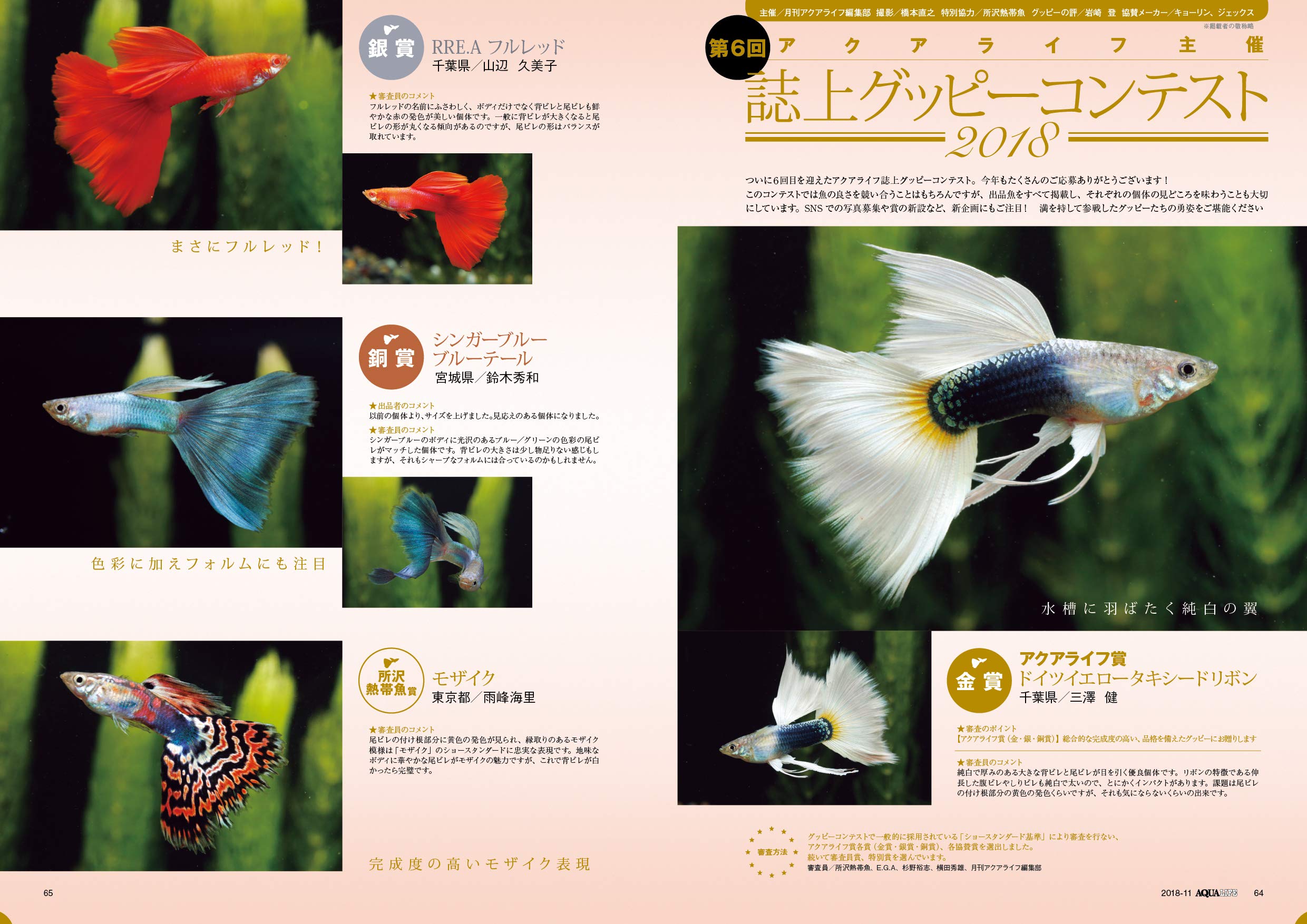 Monthly Aqua Life In 18 11 Issue Magazine Japanese Magazine November Issue Empire Jam Amazon Com Books Monthly Aqua Life In 18 11 Issue Magazine Japanese Magazine November Issue Empire Jam Amazon Com Books