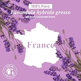 Handcraft Blends Lavender Essential Oil 118 ml Pure Premium Grade Glass Dropper view 5