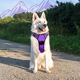Eagloo Large Dog Harness No Pull Front Back Clips Reflective Easy Control view 9