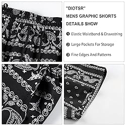 DIOTSR Mens Paisley Casual Shorts Retro Graphic