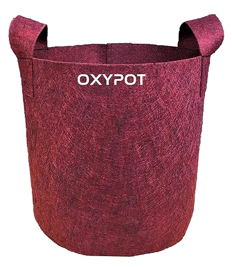 OXYPOT Geo Fabric Grow Bag, 12x12 inch, Pack of 3