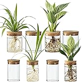 Glass Plant Propagation Stations for Plants – Set of 8(4 Large & 4 Small) Hydroponic Vases for Plant Cuttings,Flower Arrangements, Home & Office Decor–Desktop Vases for Living Room, Bedroom (8)