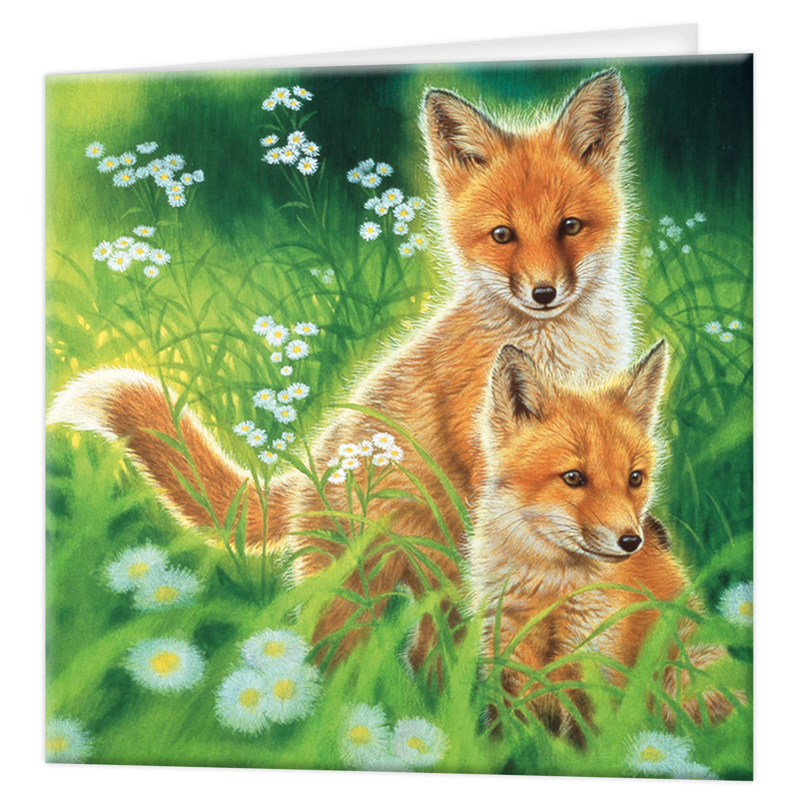 3D LiveLife Greeting Card - Spring Foxes from Deluxebase. Lenticular 3D Blank Greeting Cards with Envelopes. Cute Fox All Occasion Greeting Cards featuring Original Artwork by Beth Hoselton.