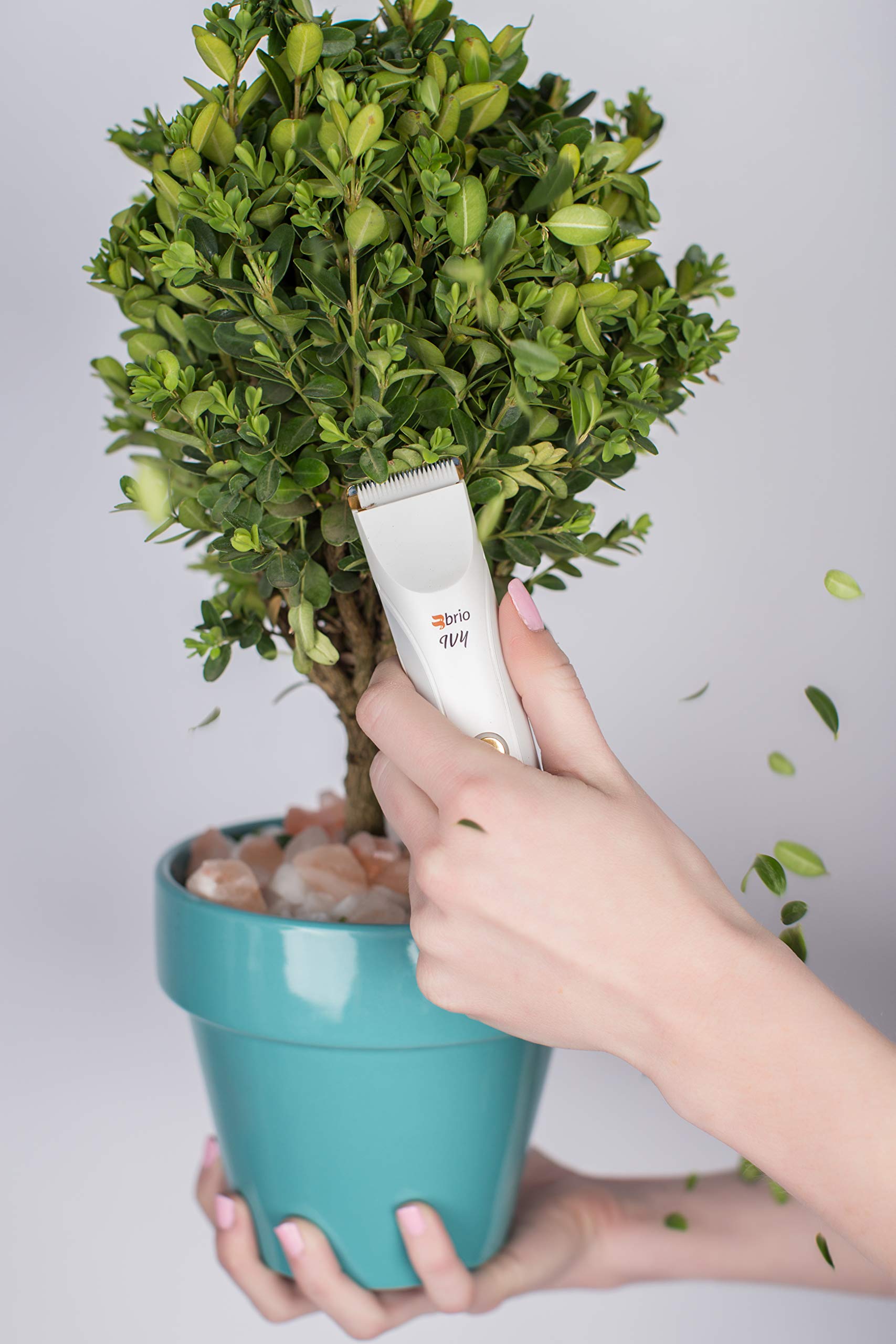 brio ivy trimmer