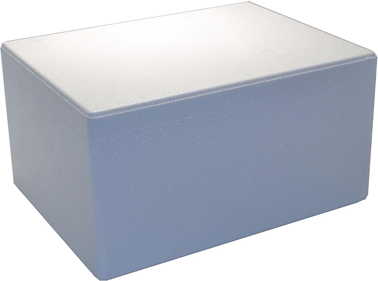 Cajas térmicas de poliestireno 400 x 210 x 300 mm: Amazon.es: Productos para mascotas