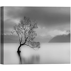 SIGNWIN Canvas Wall Art Black and White Country...