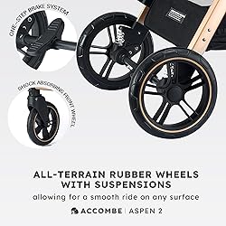 Accombe 2 in 1 Baby Stroller, Convertible Bassinet