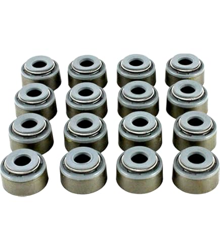 Amazon.com: DNJ VSS104 Valve Stem Seal for 1991-2002 Dodge