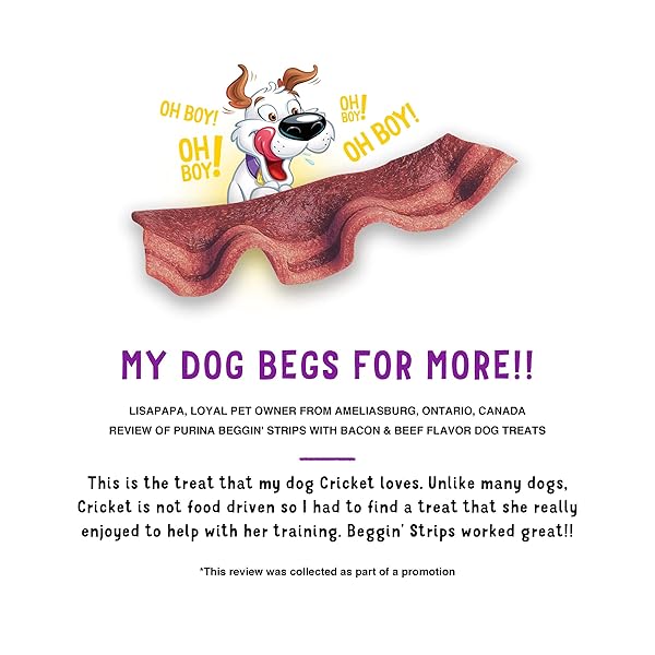 PURINA BEGGIN’ STRIPS WITH REAL MEAT DOG TREATS WITH BACON AND BEEF FLAVORS – 26 OZ. POUCH