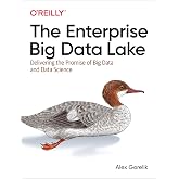 The Enterprise Big Data Lake: Delivering the Promise of Big Data and Data Science