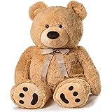 Xtreme LifeTM 720P Teddy Bear Hidden 