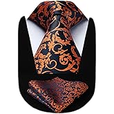 HISDERN Ties for Men Paisley Floral Tie Handkerchief Classic Woven Business Formal Necktie and Pocket Square Set Wedding