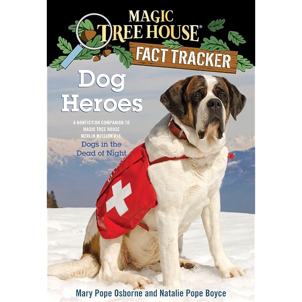 Amazon.com: Soccer: A Nonfiction Companion to Magic Tree House