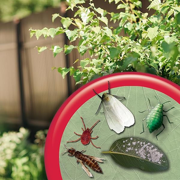 BONIDE INSECTICIDAL SOAP, 32 OZ READY-TO-USE SPRAY MULTI-PURPOSE INSECT CONTROL FOR ORGANIC GARDENING INDOOR AND OUTDOOR