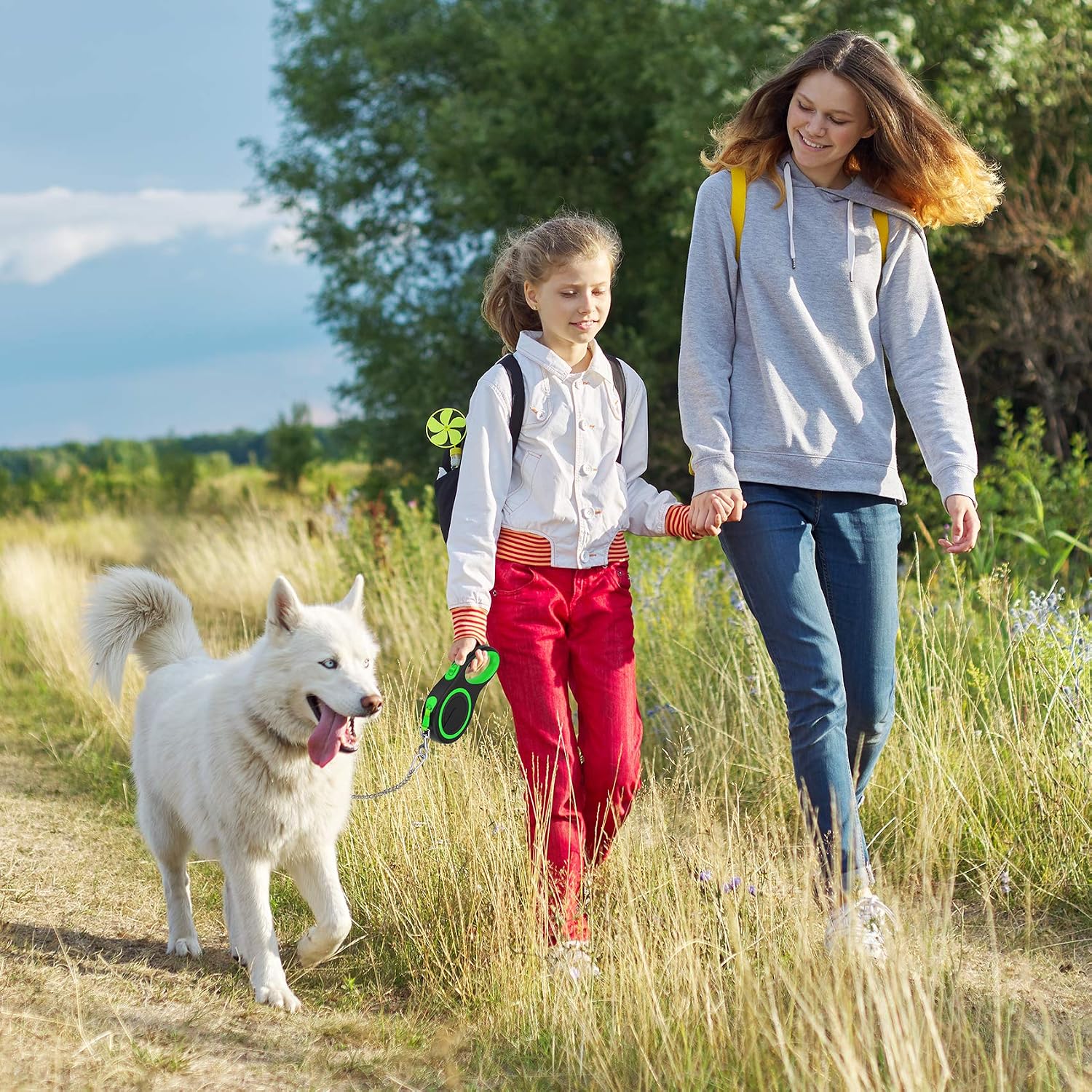 Etechydra Dog Lead Retractable Leash 5m / 16ft - Image 4