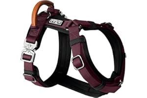MADE TO ROAM Premium Explorer Harness - Y-Shaped Dog Harness with Adjustable Durable Nylon, Soft Padding, Metal Buckles and Leather Handle for Small, Medium, Large Dogs (Vermont Weekends, Size 5)