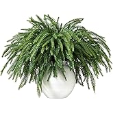 16 Pcs Christmas Norfolk Pine Branches,19" Real Touch Artificial Faux Norfolk Pine Stems ,Artificial Cedar Pine Stems, Artificial Greenery,Suitable for Vases, DIY Wreaths,Home and Garden Decorations