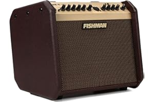 Fishman Loudbox Mini BT 60-Watt 1x6.5 Inches Acoustic Combo