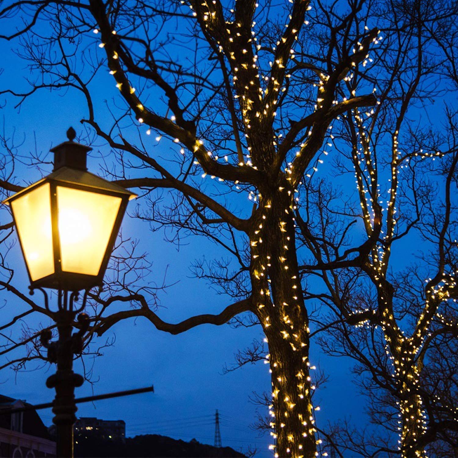 QINOL 2-Pack 400LED 72FT Solar String Lights Outdoor, Green Wire Solar String Mini Lights Outdoor, Waterproof 8 Modes Tree Garden Decorations Twinkle Lights (Warm White)